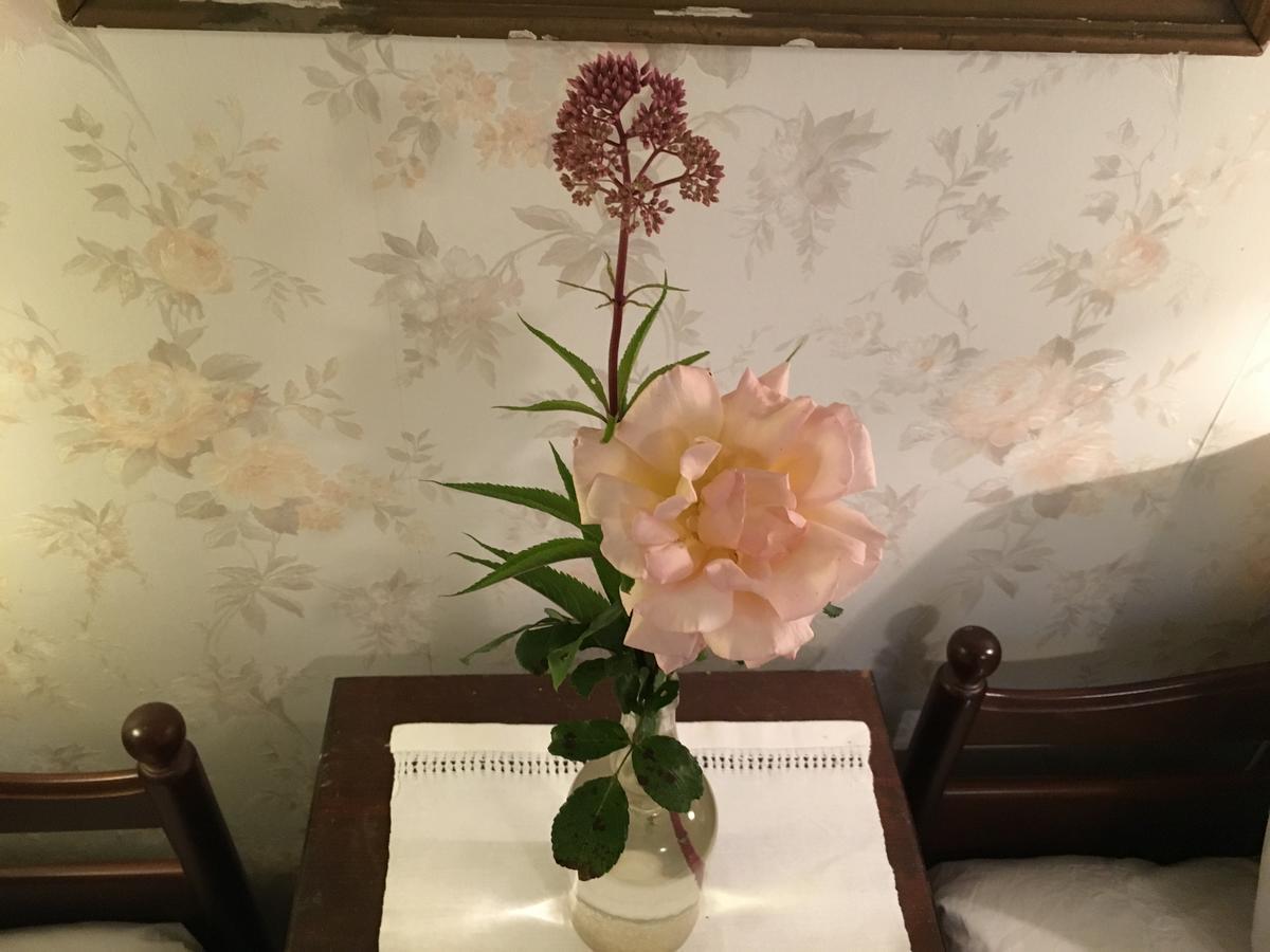 Berte Bed&Breakfast Sloinge Zewnętrze zdjęcie